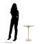 Sika Glass Top End Table