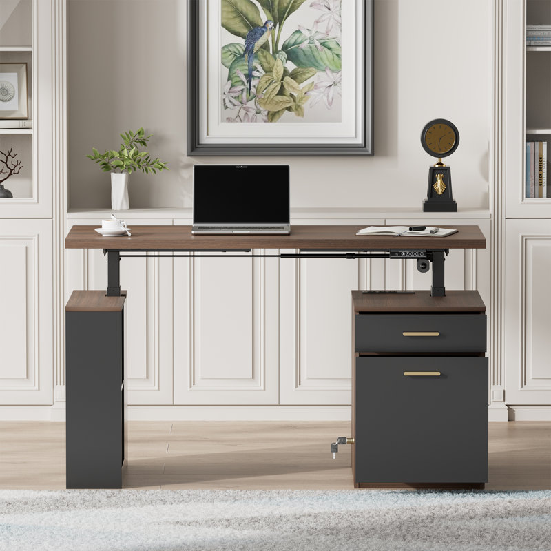 53" Electric Height-Adjustable Standing Desk With 2-Drawer & Open Storage, Built-In Charging, Privacy Panel – Executive Desk For Home Office