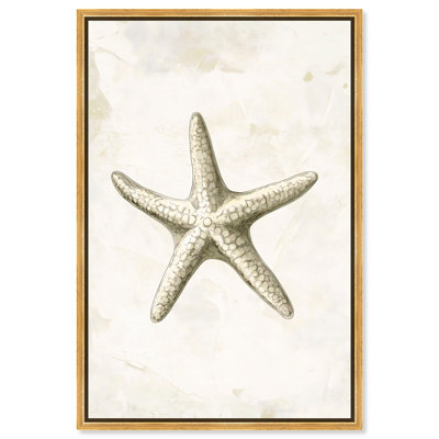 Étoile de mer I, reproduction d'art sur toile par Art Remedy, cadre doré, 16 x 24