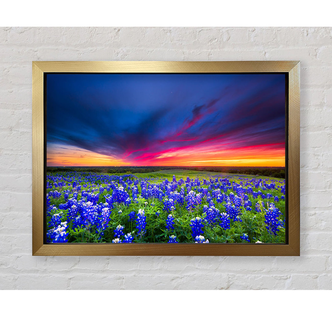 Vibrant Skies Above Blue Flowers - Einzelner Bilderrahmen Kunstdrucke