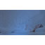 MHG Living Summer Microfibre Duvet 1.5 Tog with Breathable Hypoallergenic Hollowfibre Filling Cooling-123842405