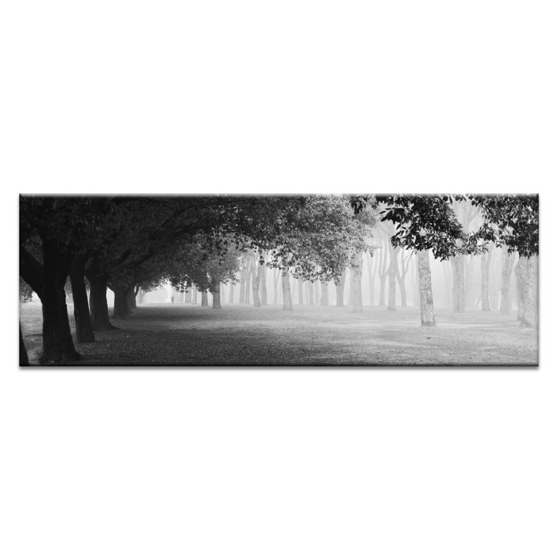 Print on Canvas, 31cm H x 102cm W, Unframed