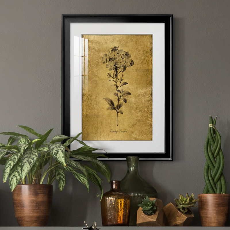 Reproduction d'art encadrée dorée Botanical II, H 30,5 po x l 22,5 po x P 1,5 po, Noir