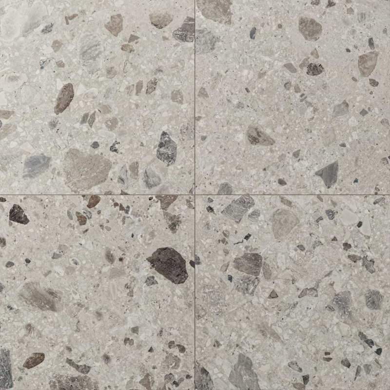 Rizo 24x24 Matte Terrazzo Look Porcelain Tile, Pavement
