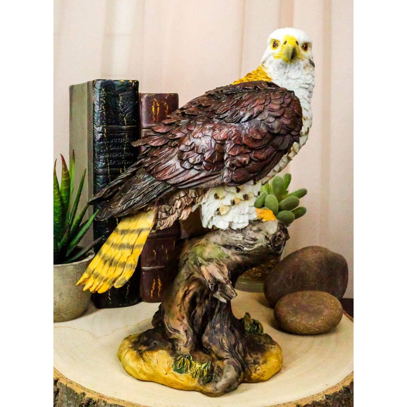 Oiseau de la faune aérienne de montagne