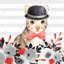 Imprimé mat pour chat-648026338-648026336