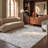 Hanka Performance Oriental Rug-655291273