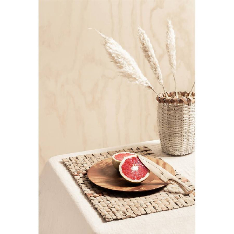 S/4 Handwoven Reed Placemats