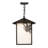 Coreatha 1 - Light Craftsman Brown Lantern Pendant