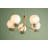 ALEXIA 5 Light Chandelier