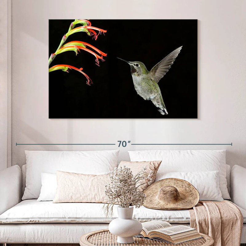 Hummingbird On Black, 32" H x 48" W