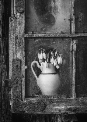 Wrapped Canvas Print, 50.8 cm H x 76.2 cm W