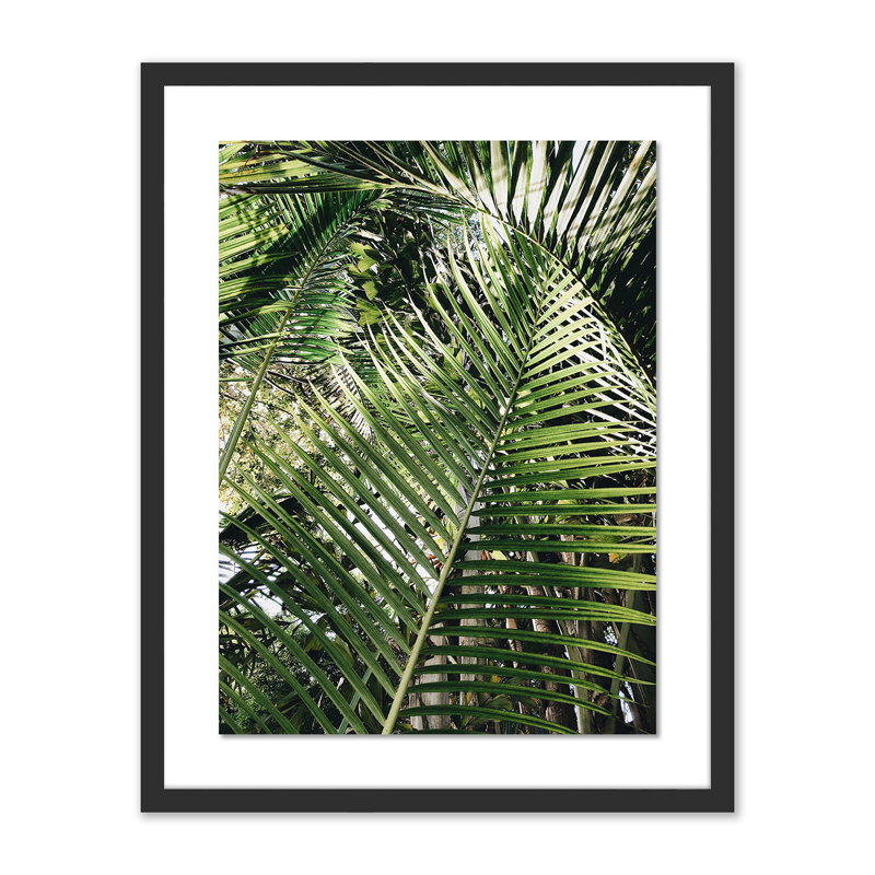 Palm I Print by Vitaliy Paykov, 24" H x 19" W x 1.5" D, Black