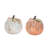 Fishing Net Pumpkin Lg Set of 2