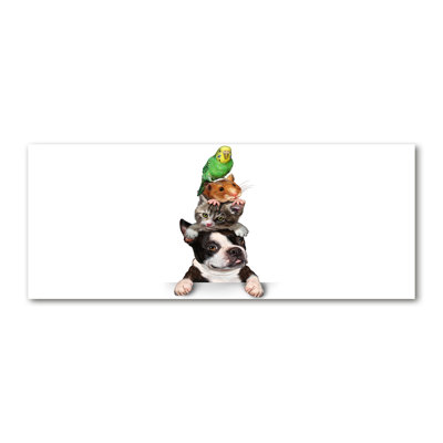 Group Of Animals - Wrapped Canvas Print