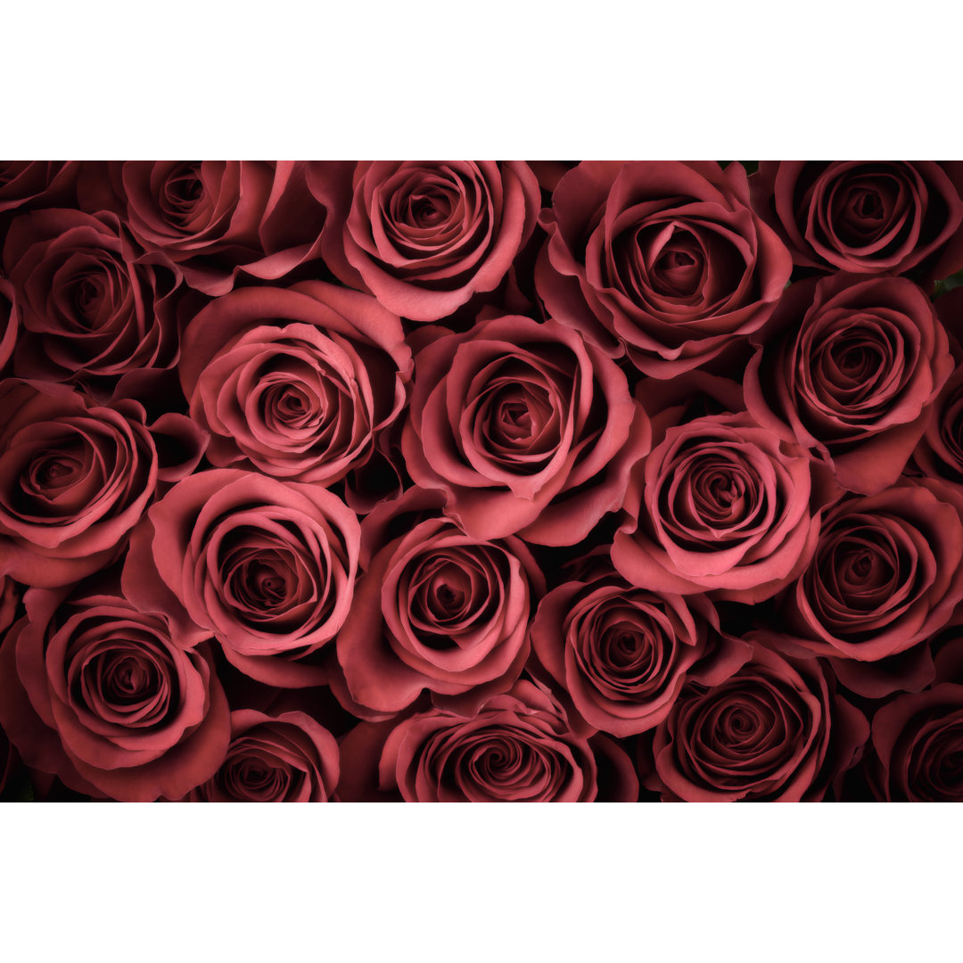 Rose Background by Liliboas - Druck auf Leinwand ohne Rahmen