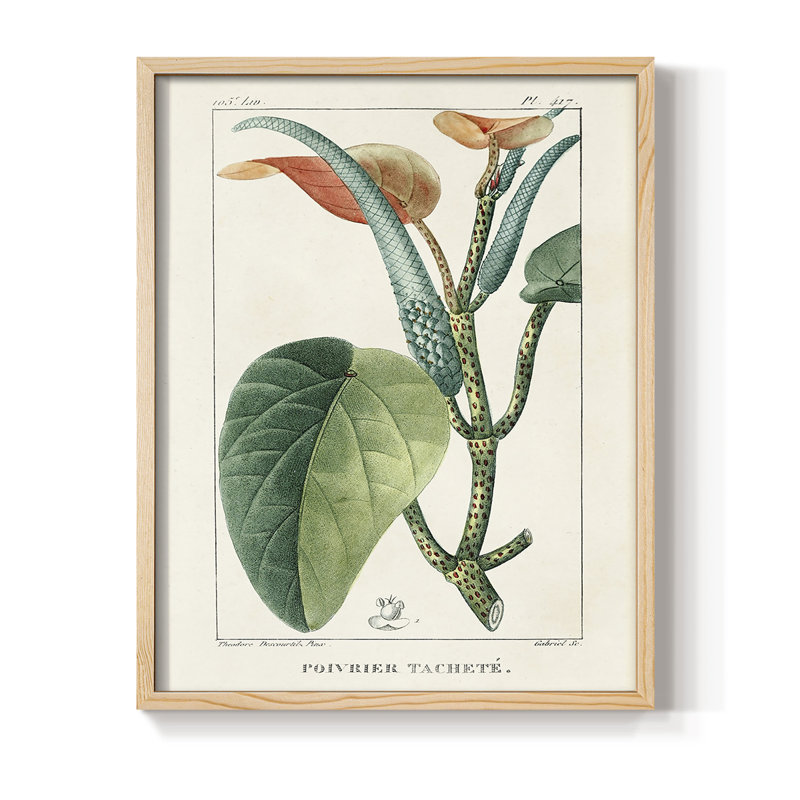 Turpin Tropical Botanicals II Framed Print - Solid Wood, 21" H x 17" W