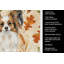 Serviette de cuisine tricolore Sheltie-2083472062