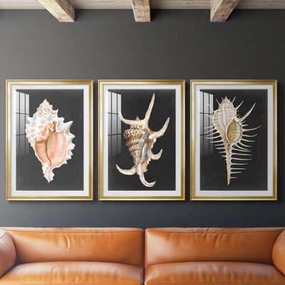 Imprimé graphique Murex rose - encadré sur mesure de qualité supérieure - 3 pièces