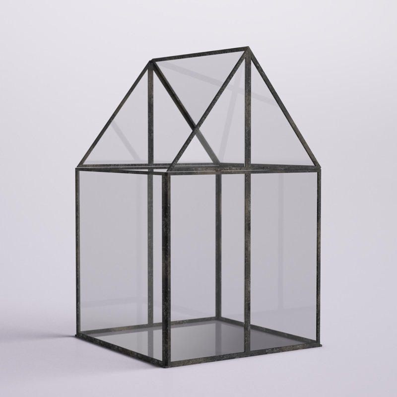 Terrarium en verre Navin, H 10 po x l 6,1 po x P 6,1 po