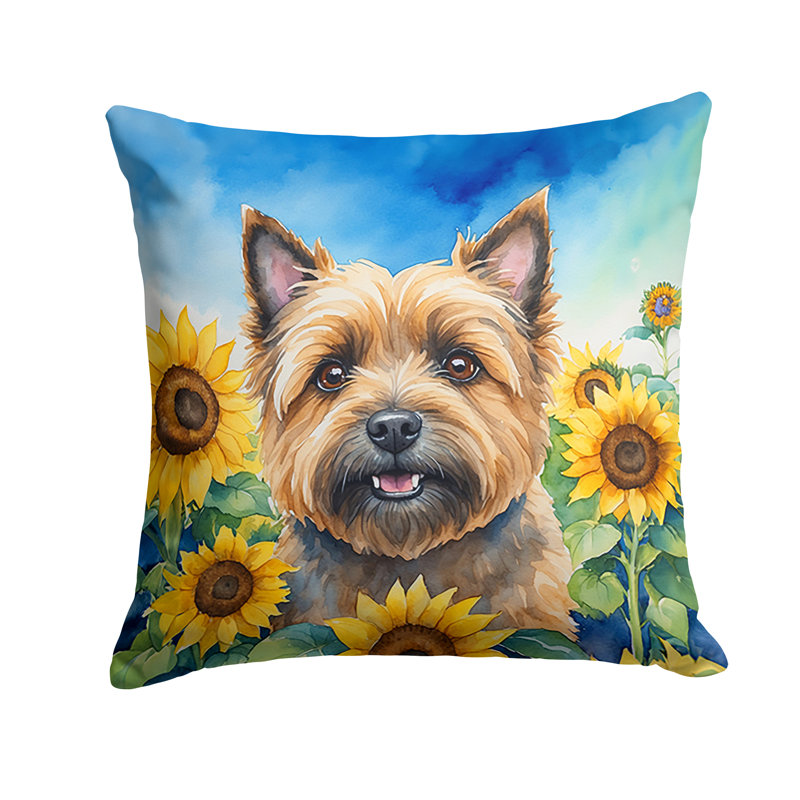 Other/No Pattern Outdoor Throw Pillow, 18"H x 18"W
