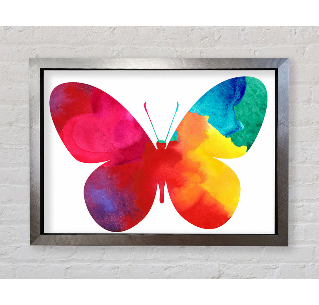 Regenbogen Schmetterling - Druck