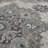 Honig Farmhouse Botanical Medallion Area Rug-27504694