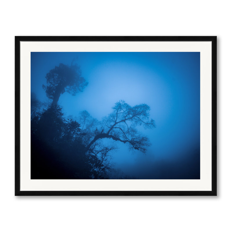 «Hanging on» par Mark Paulda - photographie, Papier avec cadre noir, H 25,25 po x l 31,25 po