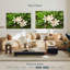 Fleurs de plumeria blanches Harnek-108104811