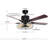 Wauconda 52'' Ceiling Fan