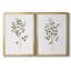 Eucalyptus I, toile encadrée de qualité supérieure - prête à être accrochée-1493061297-1493061296