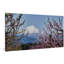 Mr. Adams in Spring 1 Piece Wrapped Canvas Wall Art-729934225
