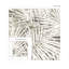Papier peint adhésif de palmier fossile naturel Stacy Garcia Home-115145446