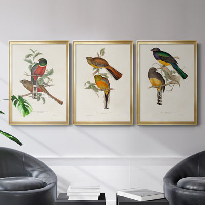 " Elegant Trogons I " 3 - Pieces