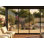 Portes coulissantes en verre 9 pi L 8 pi. H