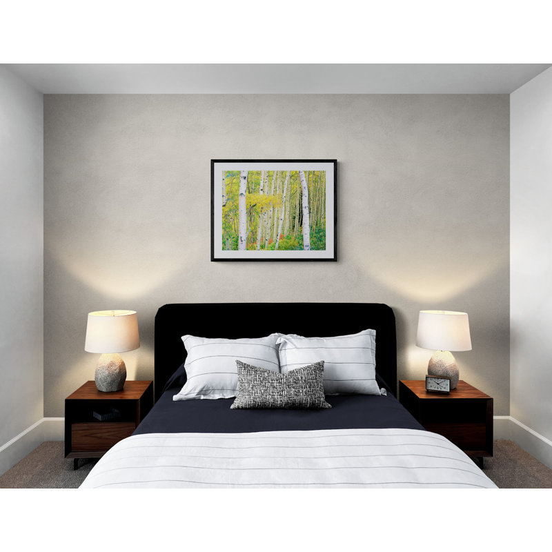 Autumn Aspen Grove Print by Bruce Heinemann, Black Framed Paper, 25.25" H x 31.25" W x 0.88" D, White