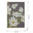 Botanical Wall Art Prints for Living Room