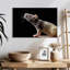 Gros plan sur le rat Brampt-108121867