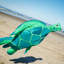 Manche à vent Turtle Big Breeze