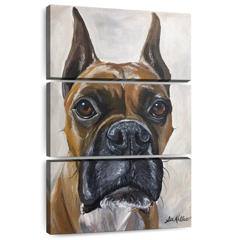 Brampt Boxer Kyleigh