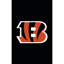 Applique du drapeau, Reg, Cincinnati Bengals