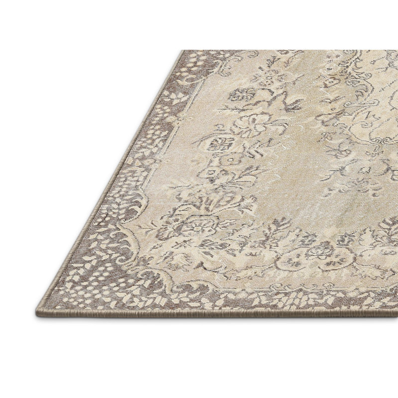 Candida Oriental Indoor Rug, Rectangle 4' x 6'