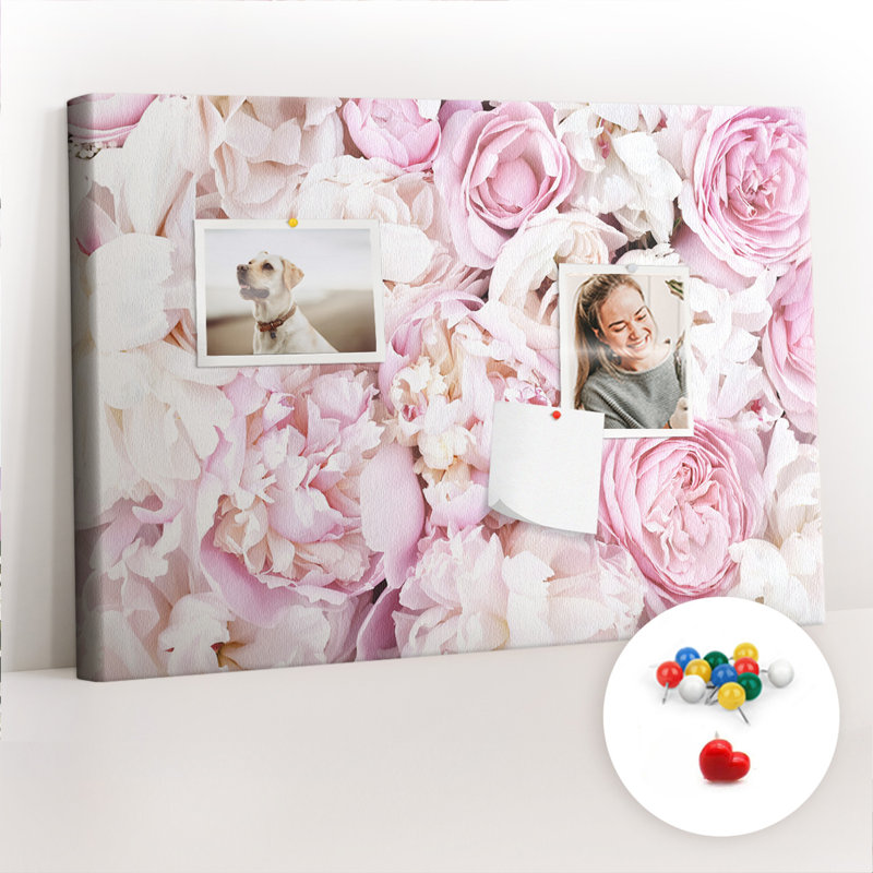 Anikait Cork Corkboard / Bulletin Board