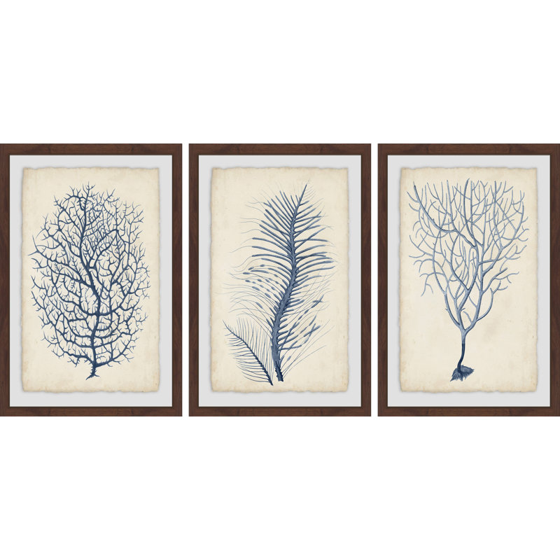 « corail vii », ensemble de 3 reproductions de peintures à l’aquarelle encadrées sur papier, H 18 po x l 12 po x L 1,5 po
