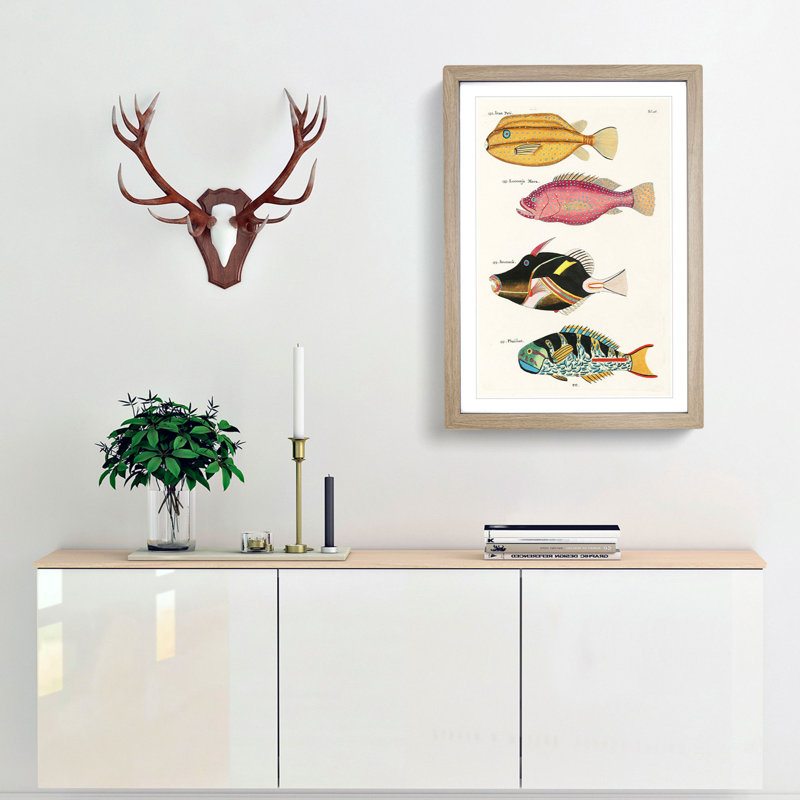 East Indies Fish Illustrations Fol. 28 by Louis Renard - Picture Frame Painting Print, 36cm H x 27cm W x 2cm D, Oak Framed