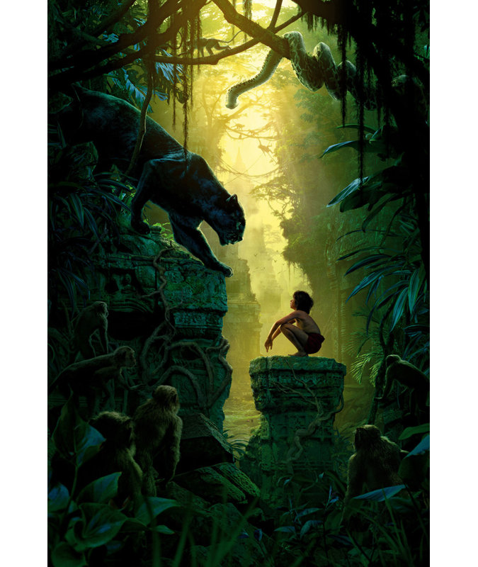 Le livre de la jungle, H 18 po x l 12 po