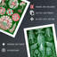 Jellyfish Green Pink Haeckel Vintage Illustrations Marine - 3 Piece No Frame Print Set-18240864
