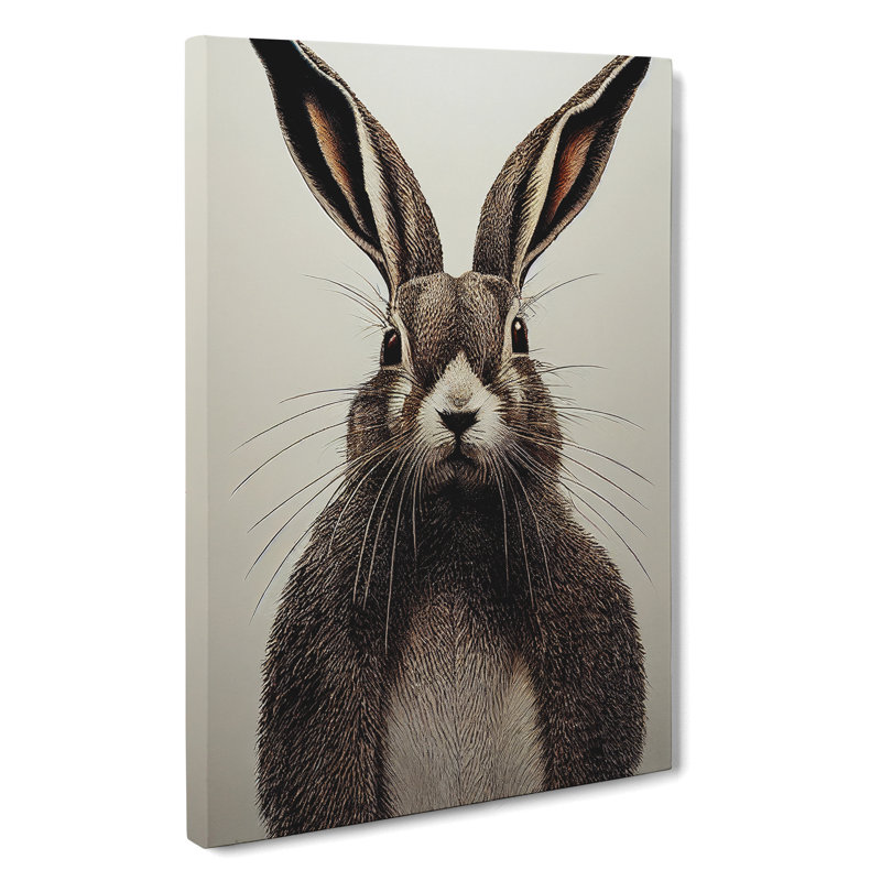 Illustration Of A Hare No.2 - Wrapped Canvas Print, 50cm H x 35cm W