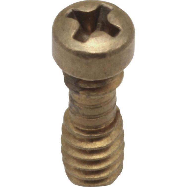 Replacement Retention Screw