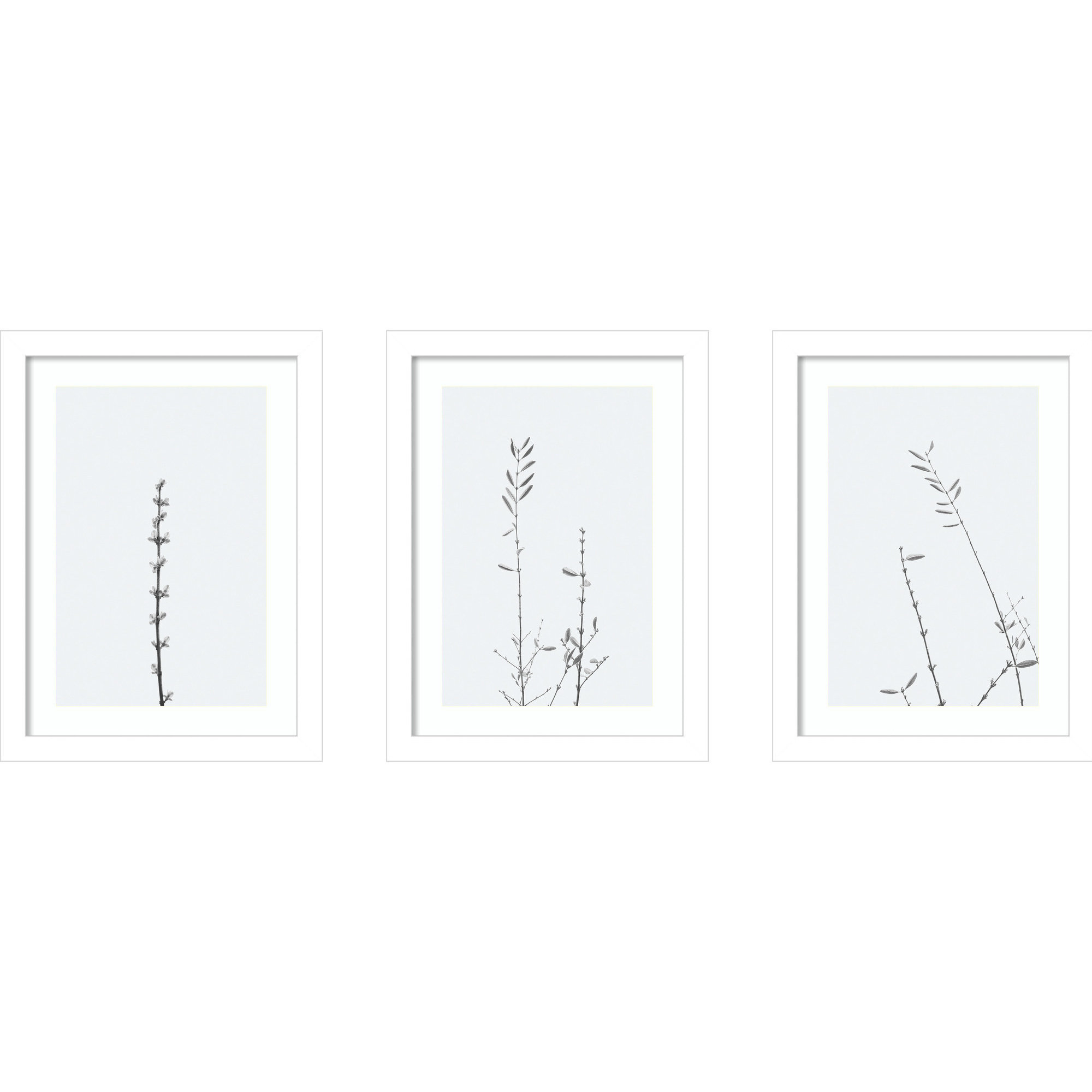 Retro Tennessee Botanical Prints by Adela - 3 Piece Single Picture Frame Photograph Set, White, 13" H x 34" W x 1" D